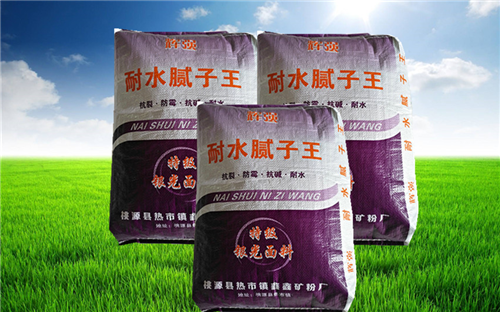 輝強(qiáng)耐水膩子王